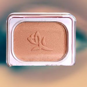 Apricot Cream Powder Perfect Eye Color Vintage Mary Kay 1980's